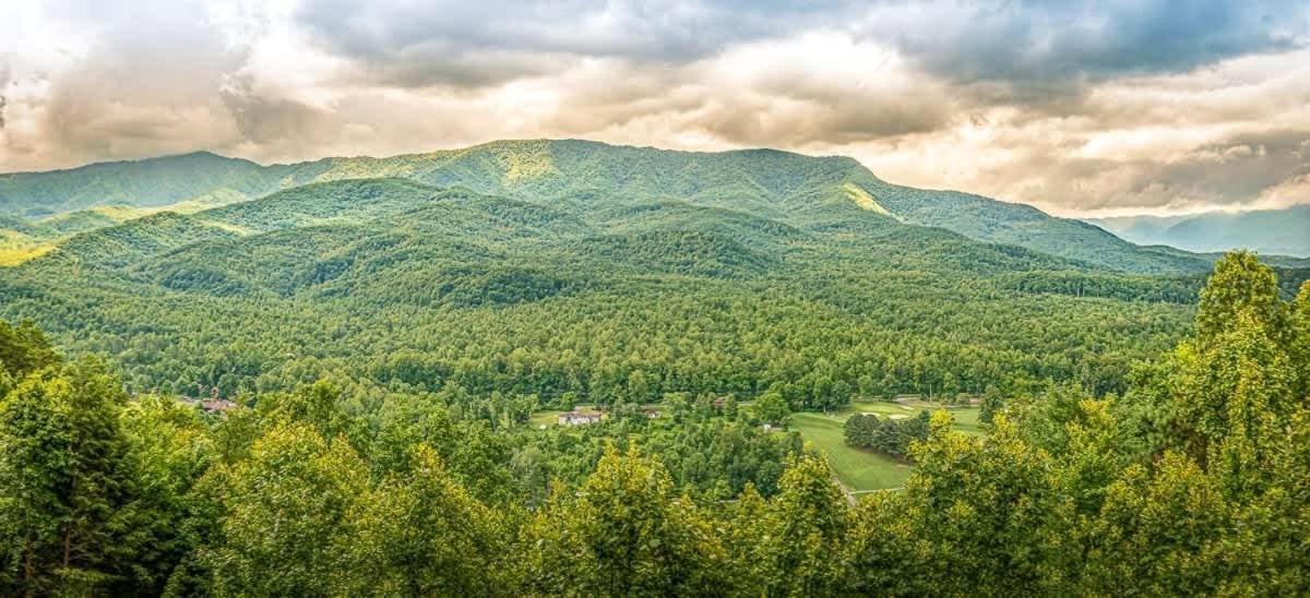 Modern Mountain Escape Villa Гетлинбург Екстериор снимка